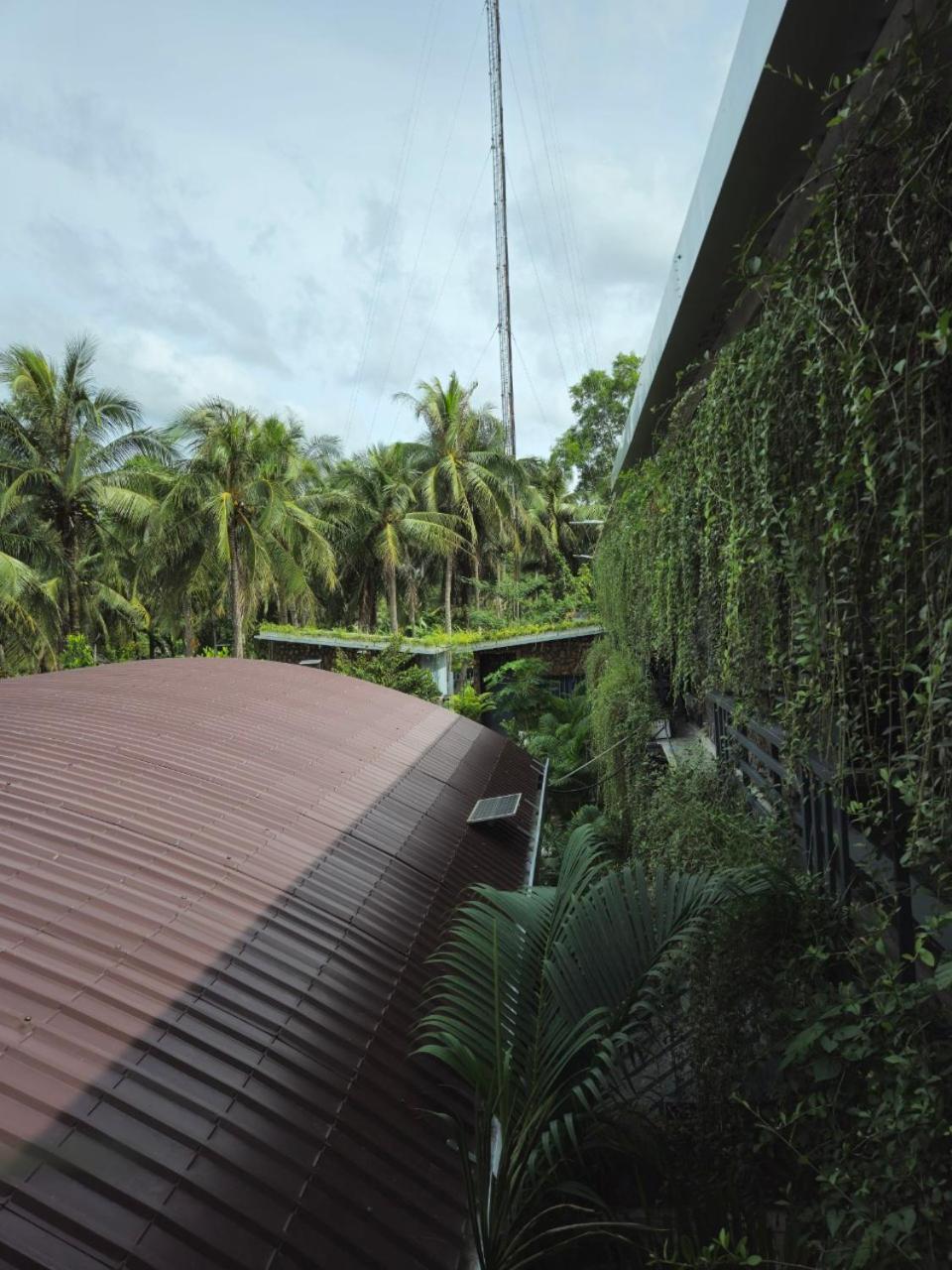 Homestay Bao Binh Ben Tre Extérieur photo
